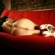 Private Photo of Bruna88